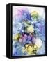 Pansy Explosion-Kim Curinga-Framed Stretched Canvas