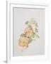 Pansy Hybrids "Bambini"-Sarah Creswell-Framed Giclee Print