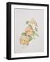 Pansy Hybrids "Bambini"-Sarah Creswell-Framed Giclee Print