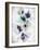 Pansy Indigo 1-Li Bo-Framed Giclee Print