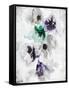 Pansy Indigo 1-Li Bo-Framed Stretched Canvas