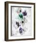 Pansy Indigo 1-Li Bo-Framed Giclee Print