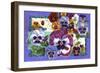 Pansy Mania-David Galchutt-Framed Giclee Print