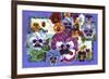 Pansy Mania-David Galchutt-Framed Giclee Print