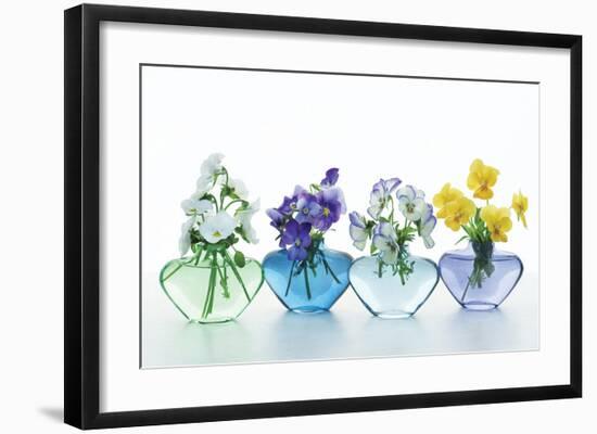 Pansy Party-Christine Zalewski-Framed Art Print