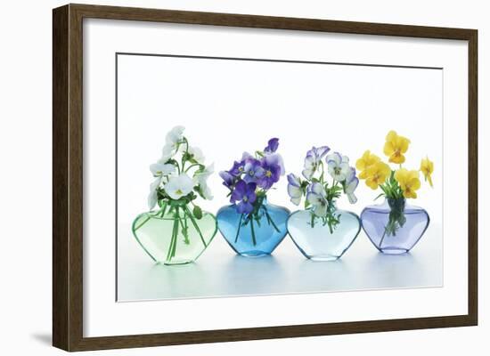 Pansy Party-Christine Zalewski-Framed Art Print