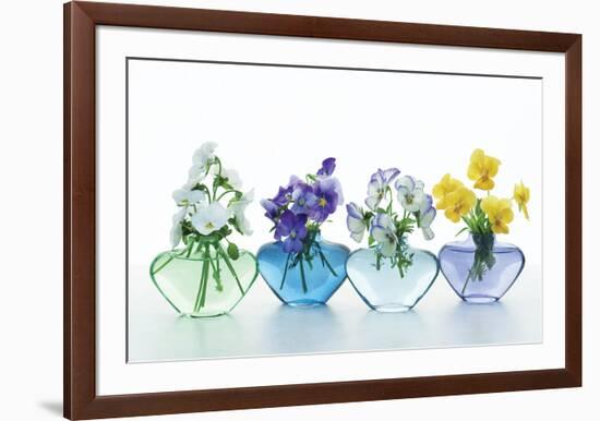 Pansy Party-Christine Zalewski-Framed Art Print