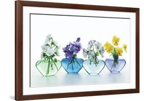 Pansy Party-Christine Zalewski-Framed Art Print