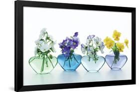 Pansy Party-Christine Zalewski-Framed Art Print