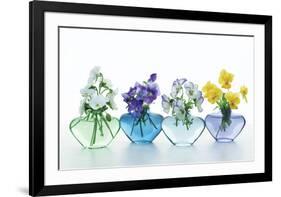 Pansy Party-Christine Zalewski-Framed Art Print