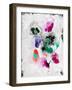 Pansy Play-Li Bo-Framed Giclee Print