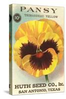 Pansy Seed Packet-null-Stretched Canvas