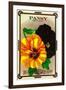 Pansy Seed Packet-Lantern Press-Framed Art Print