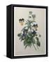 Pansy-Pierre-Joseph Redoute-Framed Stretched Canvas