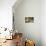 Pantanal, Mato Grosso, Brazil. Portrait of two young Capybaras sitting along the riverbank-Janet Horton-Photographic Print displayed on a wall