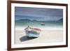 Pantano Do Sul Beach and Fisherman's Boat on Florianopolis Island in Southern Brazil-Alex Saberi-Framed Photographic Print