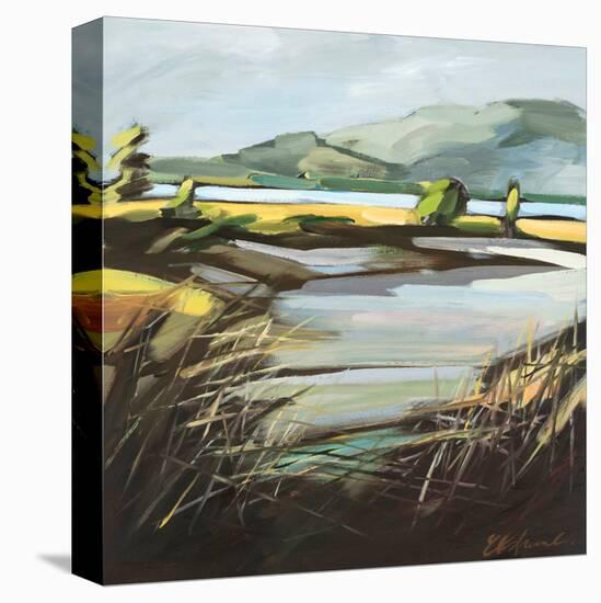 Pantano-Kris Ekstrand-Stretched Canvas