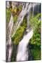 Panther Creek Falls Detail, Columbia River Gorge, Washington-Vincent James-Mounted Photographic Print