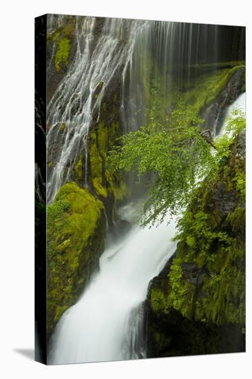 Panther Creek Falls, Gifford-Pinchot Nf, Carson, Washington, Usa-Michel Hersen-Stretched Canvas