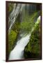 Panther Creek Falls, Gifford-Pinchot Nf, Carson, Washington, Usa-Michel Hersen-Framed Photographic Print