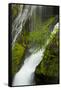 Panther Creek Falls, Gifford-Pinchot Nf, Carson, Washington, Usa-Michel Hersen-Framed Stretched Canvas