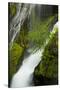 Panther Creek Falls, Gifford-Pinchot Nf, Carson, Washington, Usa-Michel Hersen-Stretched Canvas