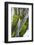 Panther Creek Falls, Gifford-Pinchot Nf, Carson, Washington, Usa-Michel Hersen-Framed Photographic Print