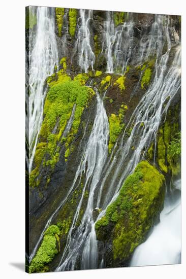 Panther Creek Falls, Gifford-Pinchot Nf, Carson, Washington, Usa-Michel Hersen-Stretched Canvas