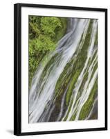 Panther Creek Falls II-Don Paulson-Framed Giclee Print