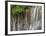 Panther Creek Falls IV-Don Paulson-Framed Giclee Print