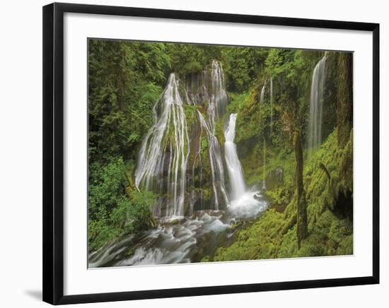 Panther Creek Falls V-Don Paulson-Framed Giclee Print