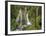 Panther Creek Falls V-Don Paulson-Framed Giclee Print