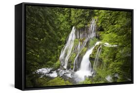 Panther Creek Falls, Waterfall from Big Creek, Gifford Pinchot National Forest, Washington, USA-Jamie & Judy Wild-Framed Stretched Canvas