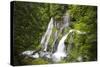 Panther Creek Falls, Waterfall from Big Creek, Gifford Pinchot National Forest, Washington, USA-Jamie & Judy Wild-Stretched Canvas