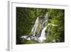 Panther Creek Falls, Waterfall from Big Creek, Gifford Pinchot National Forest, Washington, USA-Jamie & Judy Wild-Framed Photographic Print