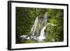 Panther Creek Falls, Waterfall from Big Creek, Gifford Pinchot National Forest, Washington, USA-Jamie & Judy Wild-Framed Photographic Print