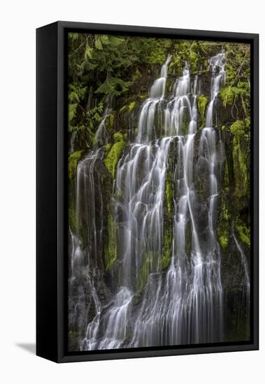 Panther Creek Falls-Art Wolfe-Framed Stretched Canvas