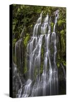 Panther Creek Falls-Art Wolfe-Stretched Canvas