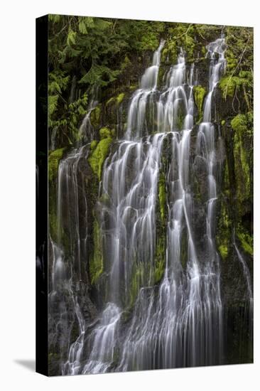 Panther Creek Falls-Art Wolfe-Stretched Canvas