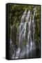 Panther Creek Falls-Art Wolfe-Framed Stretched Canvas