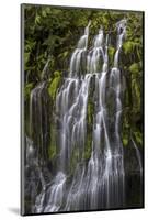 Panther Creek Falls-Art Wolfe-Mounted Photographic Print