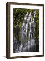 Panther Creek Falls-Art Wolfe-Framed Photographic Print