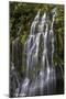Panther Creek Falls-Art Wolfe-Mounted Photographic Print