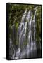 Panther Creek Falls-Art Wolfe-Framed Stretched Canvas