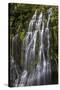 Panther Creek Falls-Art Wolfe-Stretched Canvas