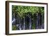 Panther Creek Falls-Art Wolfe-Framed Photographic Print