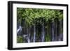 Panther Creek Falls-Art Wolfe-Framed Photographic Print