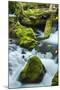 Panther Creek, Gifford-Pinchot Nf, Carson, Washington, Usa-Michel Hersen-Mounted Photographic Print
