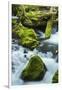 Panther Creek, Gifford-Pinchot Nf, Carson, Washington, Usa-Michel Hersen-Framed Photographic Print