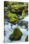 Panther Creek, Gifford-Pinchot Nf, Carson, Washington, Usa-Michel Hersen-Stretched Canvas